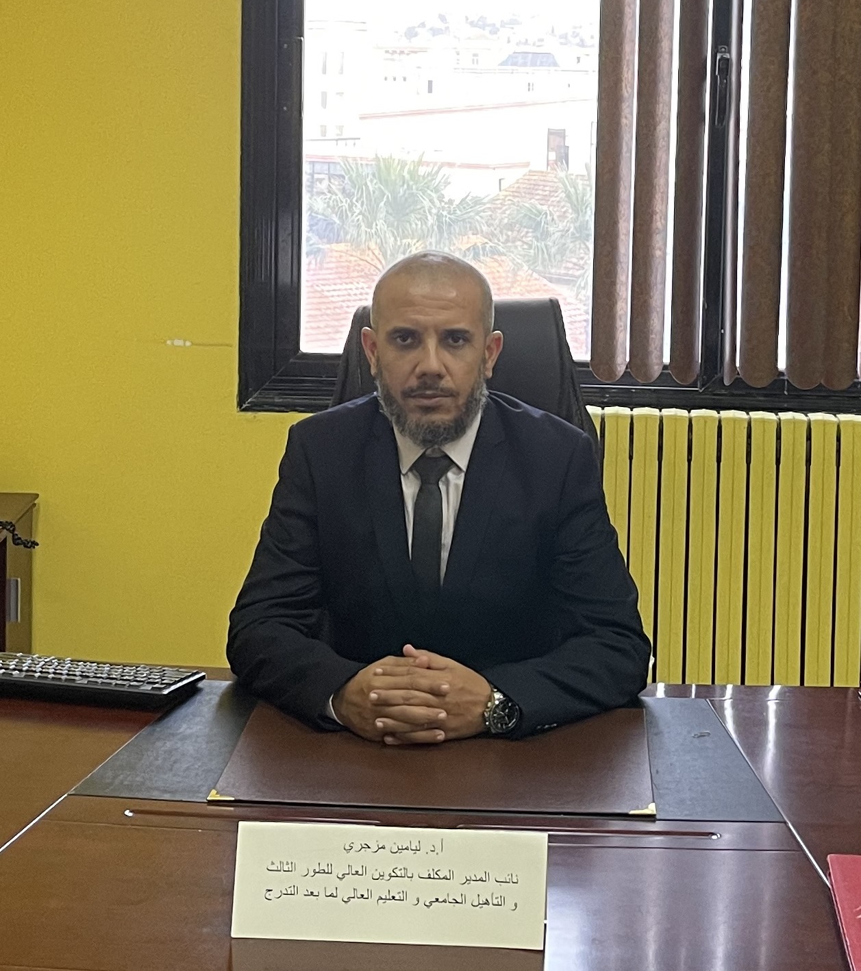 البروفيسور مزجري ليامين
