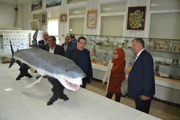 visit-sonatrach-04-04-2024-25B28FD922-E0DA-2D3F-3ECC-0B17A6E52A9A.jpg