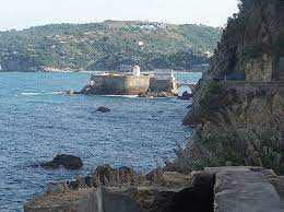 image6